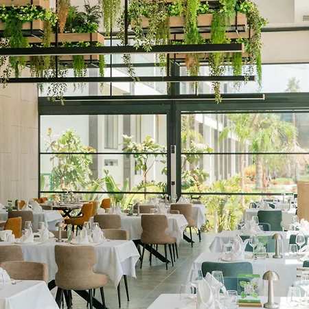 Palmera Wellness &