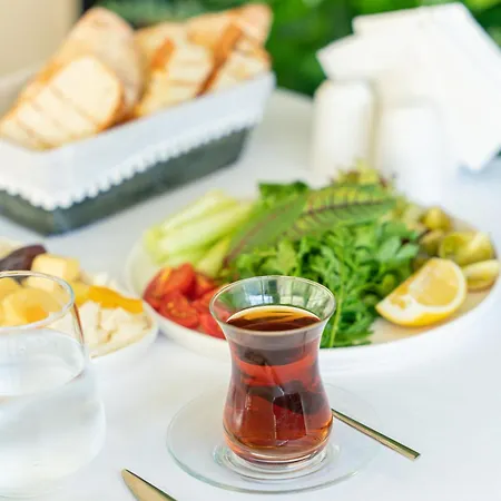 Palmera Wellness & 4*