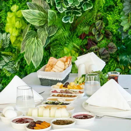 Palmera Wellness & 4* Kyrenia (Northern Cyprus)