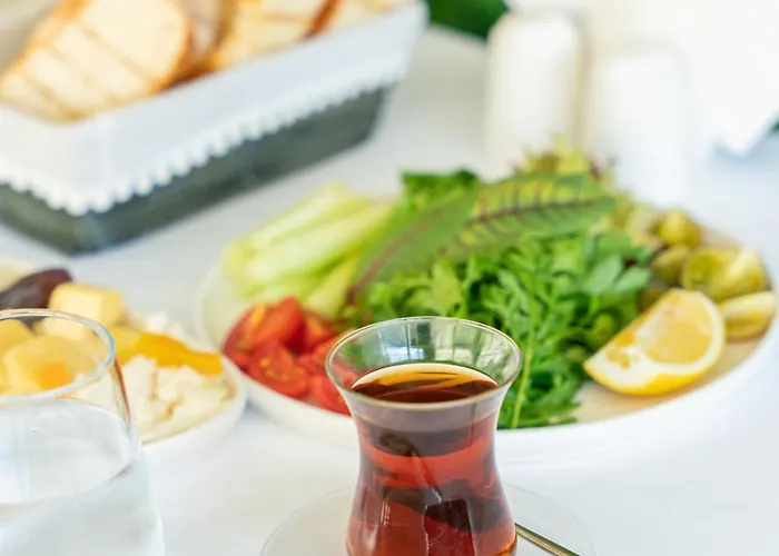 Palmera Wellness & 4*