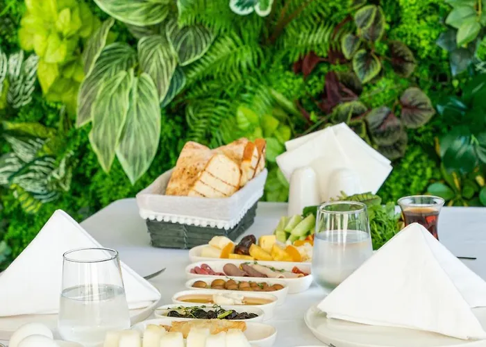 Palmera Wellness & 4* キレニア